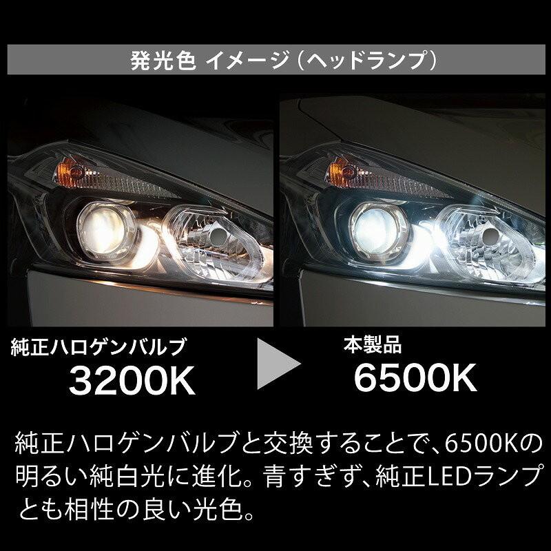 カーメイト（CARMATE） 車 LED ヘッド フォグ H8 H9 H11 H16 BW543