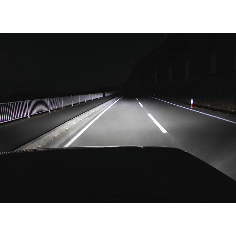 カーメイト（CARMATE） 車 LED ヘッド フォグ ライト H8 H9 H11 H16