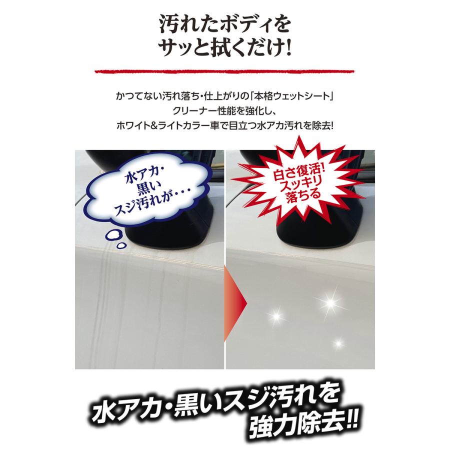 カーメイト 車 洗車グッズ C181 本当によく落ちる 汚れ 水アカ用
