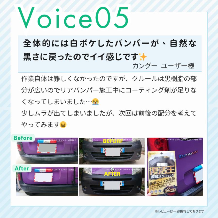 カーメイト（CARMATE） 黒樹脂復活剤 約2年耐久 復活王 C198 洗車 お 