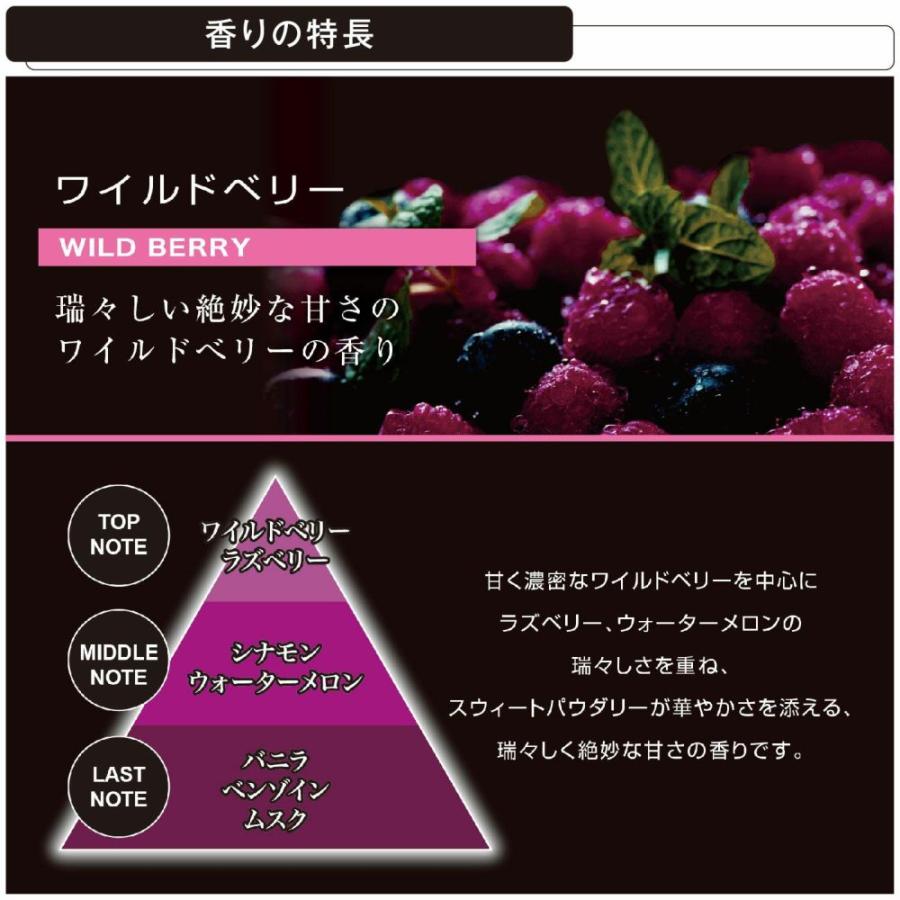 カーメイト（CARMATE） 車 芳香剤 3個 セット ワイルドベリー G25T