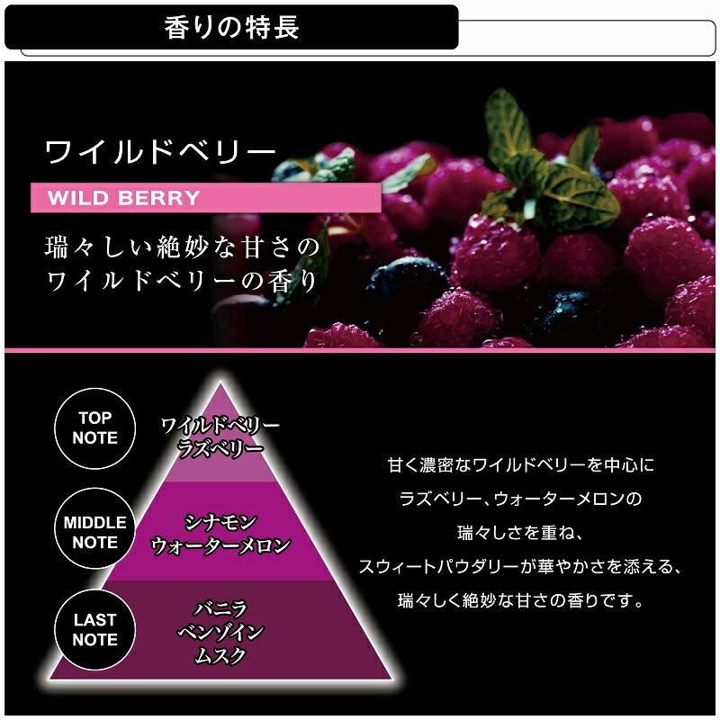 カーメイト 車 芳香剤 ワイルドベリー エアコン H1204 ブラング AC-IN