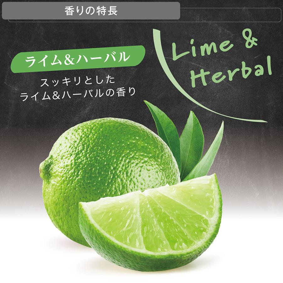 カーメイト（CARMATE） 車 芳香剤 ライム ハーバル H1703 ザ