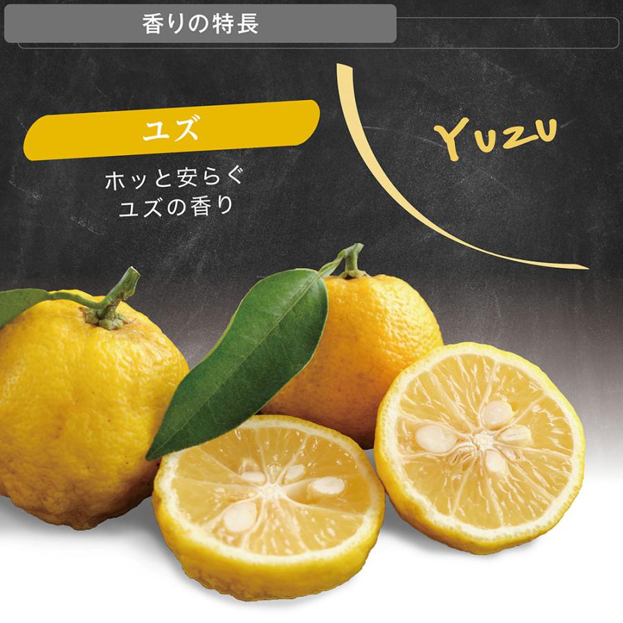 カーメイト（CARMATE） 車 芳香剤 ユズ H1704 ザ フルーティー