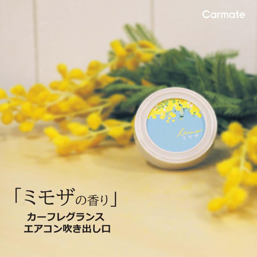 カーメイト（CARMATE） 2,200円以上で送料無料 車 芳香剤 H1812 ルーノ