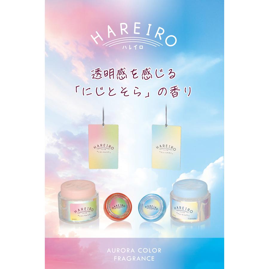 カーメイト（CARMATE） 車 芳香剤 サボン H1921 ハレイロ ハンギング