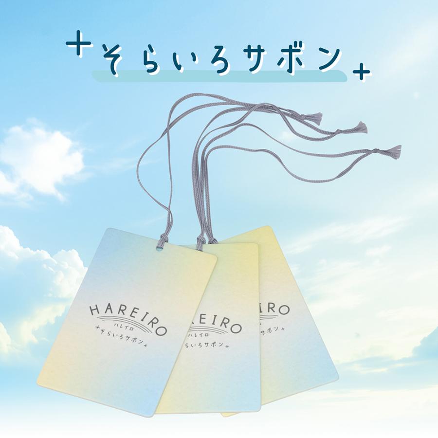 カーメイト（CARMATE） 車 芳香剤 サボン H1921 ハレイロ ハンギング