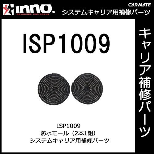 カーメイト ISP1009 防水モール（2本） パーツ 補修部品 carmate (P06) | カーメイト