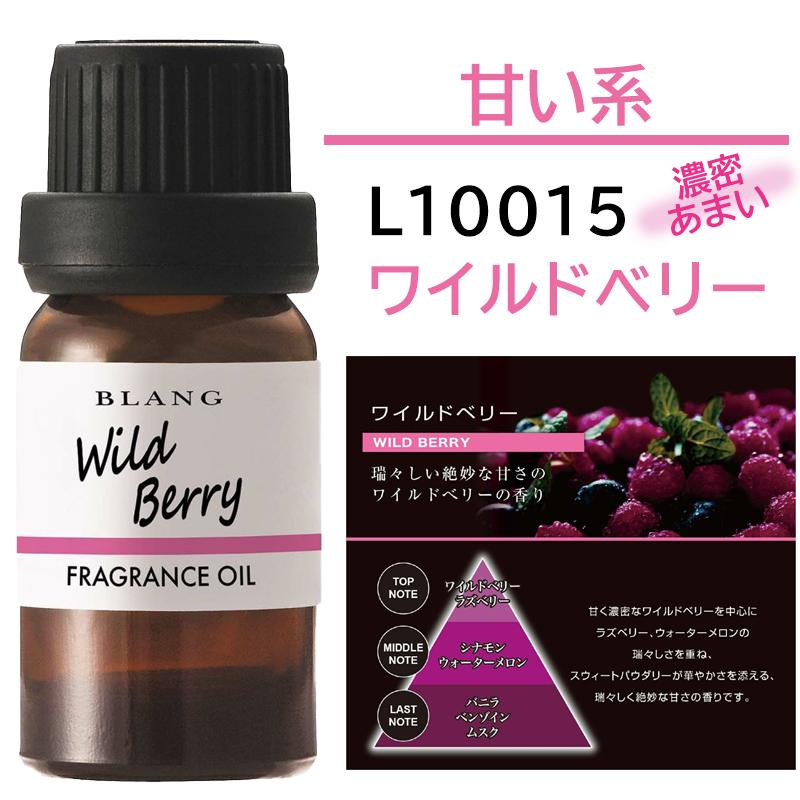 カーメイト（CARMATE） 車 芳香剤 お買い得 セット L10007Z 噴霧式