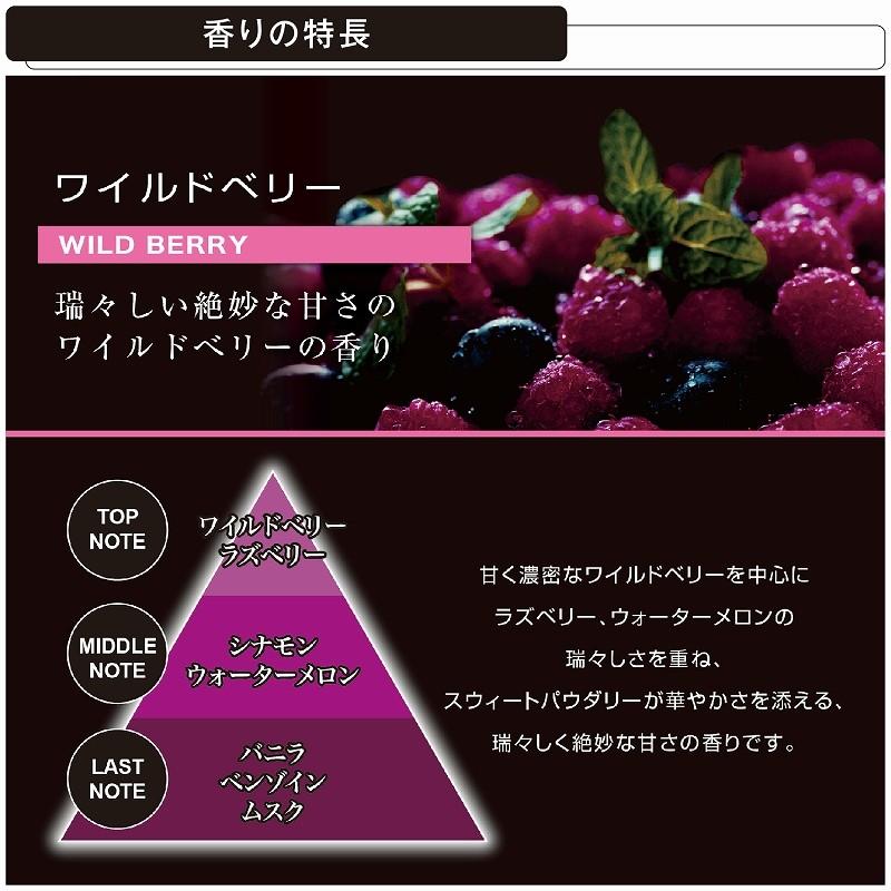 カーメイト（CARMATE） 2本で送料無料 車 芳香剤 ワイルドベリー
