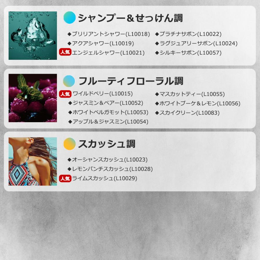 BLANG 2本で送料無料車 芳香剤 ライム スカッシュ L10029 ブラング