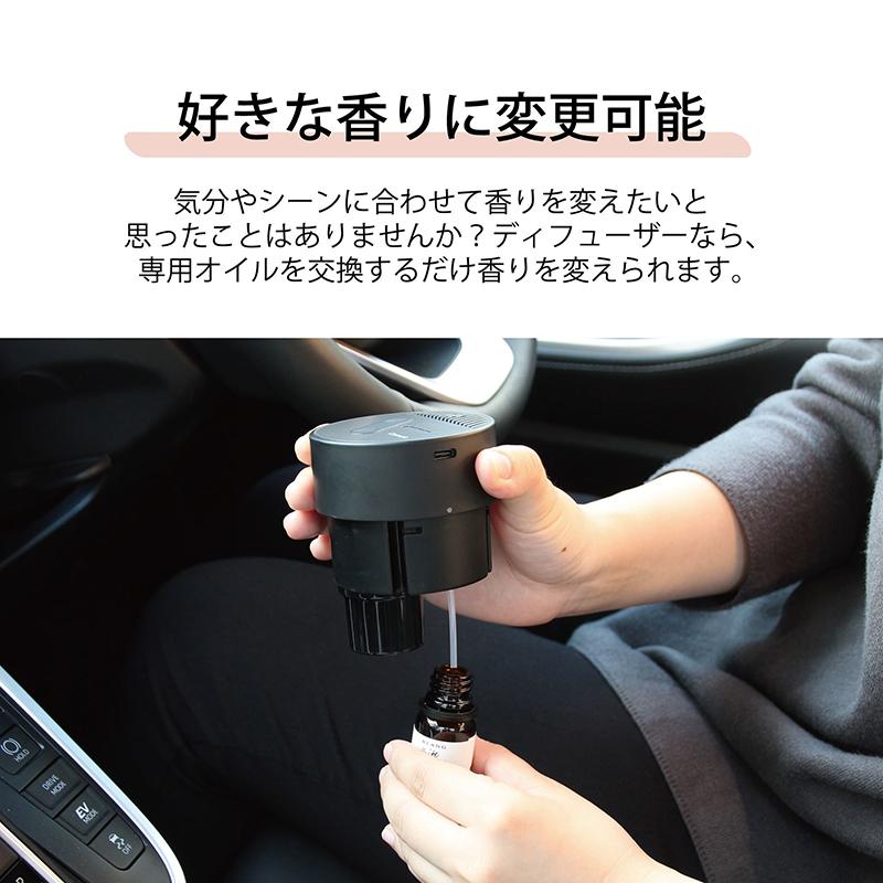 カーメイト（CARMATE） 2本で送料無料 車 芳香剤 キャンディームスク