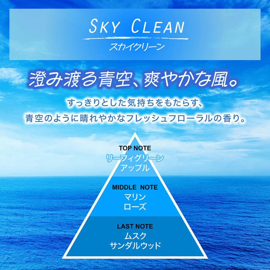 カーメイト（CARMATE） 車 芳香剤 消臭 アロマ スカイクリーン 3本