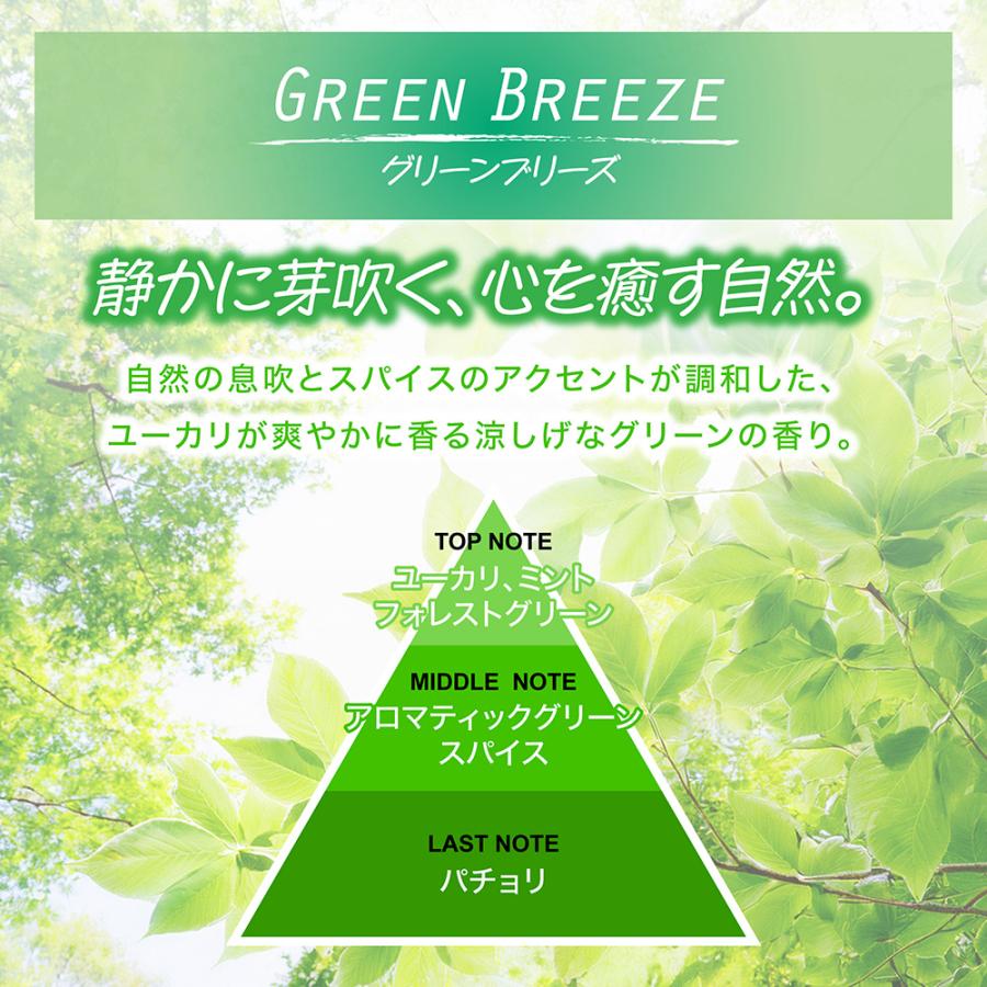 カーメイト（CARMATE） 2本で送料無料 車 芳香剤 消臭 アロマ グリーン
