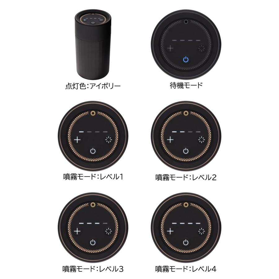 カーメイト（CARMATE） 車 芳香剤 L10601 噴霧式 フレグランス 
