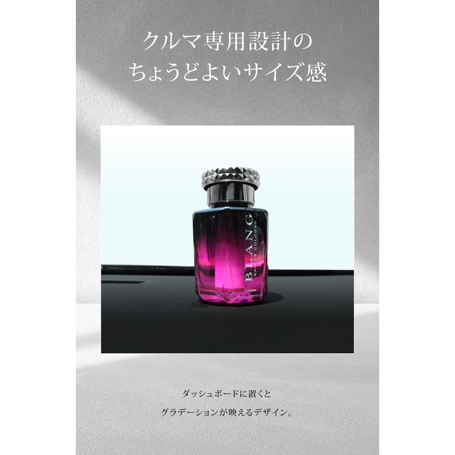 カーメイト（CARMATE） 車 芳香剤 ワイルドベリー L156 ブラング