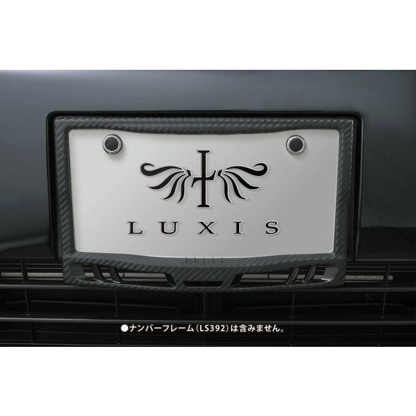 ナンバープレート ボルトキャップ カーボン調 カーメイト LS394 ナンバーボルトキャップ カーボンルック  ドレスアップパーツ carmate (P07) | カーメイト | 06