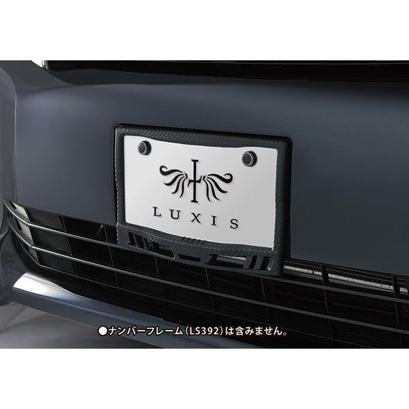 カーメイト（CARMATE） ナンバープレート ボルトキャップ LS405