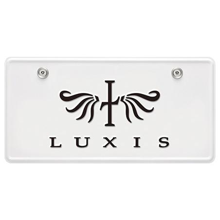 ナンバープレート ボルト 特殊形状 錆に強い ステンレス製 カーメイト LS422 セキュリティボルト フラット 2 ナンバープレートの盗難防止に最適 (R80)(P05) | カーメイト | 05