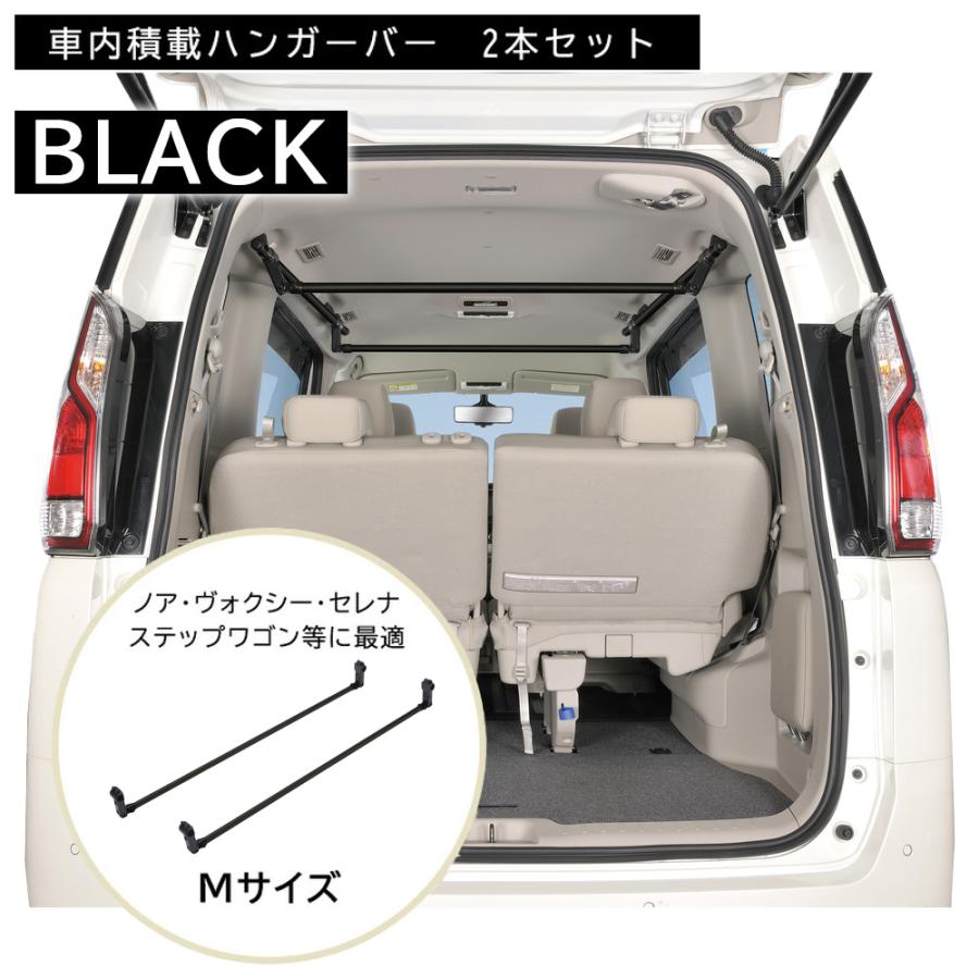 カーメイト（CARMATE） 車 収納 NS111BK ハンガーバー M ブラック 2本