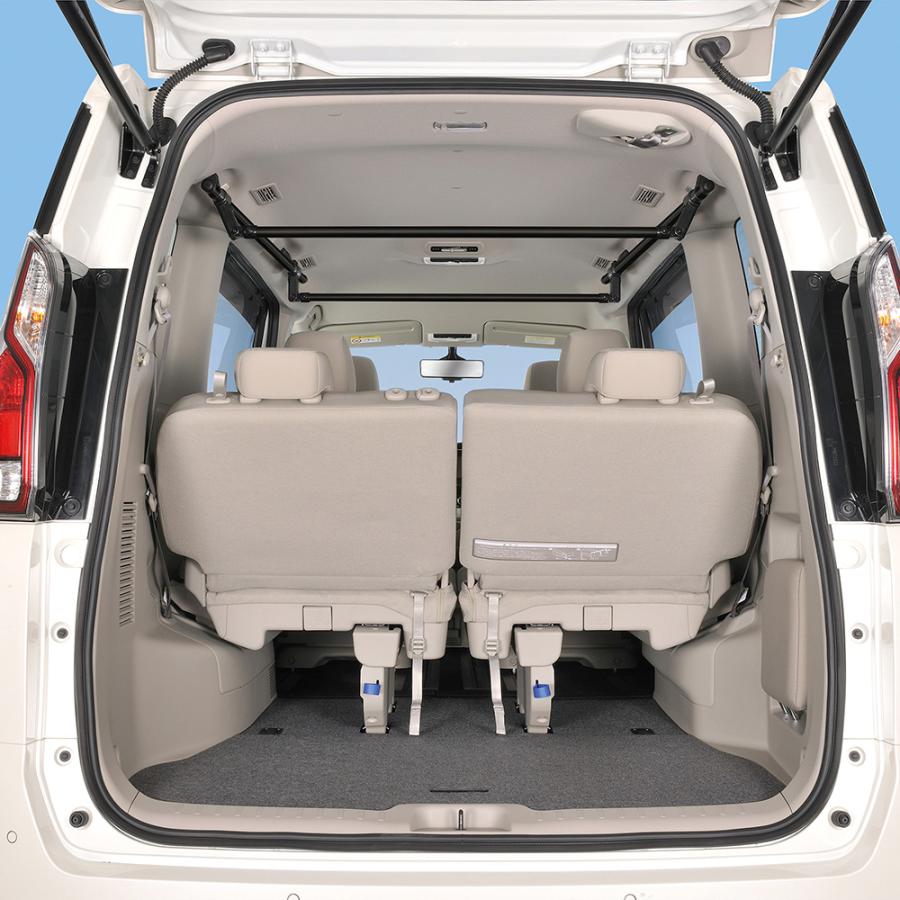 カーメイト（CARMATE） 車 収納 NS111BK ハンガーバー M ブラック 2本