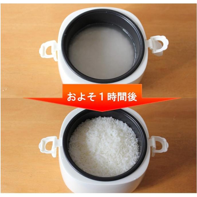 メルテック 大自工業 Meltec 炊飯器 LS-12 DC24V 24V車専用 : カーマイ