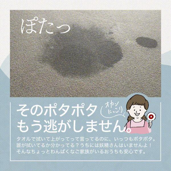 〔足とマットのドライな関係〕 珪藻土 バスマット ソフト タイプ お風呂マット 吸水マット 珪藻土マット 割れない 速乾 洗える 清潔 サラサラ 吸水  柔らかい |  | 10