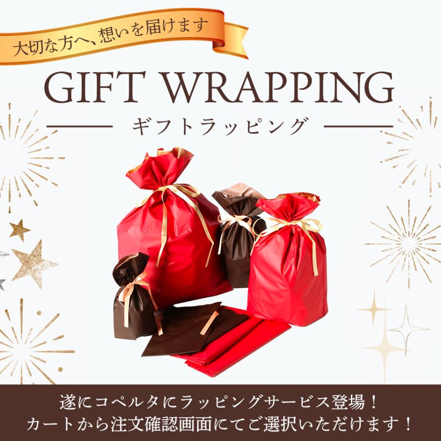レジャーシート 厚手 洗える 肩掛け 200×200 大判 海水浴 大きい レジャーシート 厚手 洗える 肩掛け 200×200 大判 海水浴 大きい