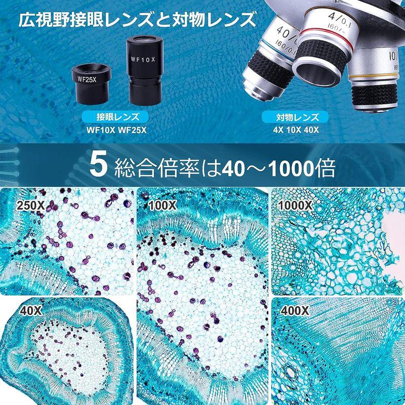 顕微鏡 双眼 40?1000倍 学生 子供 初心者 学習用 生物標本 実体 花粉 宝石 自由研究用 学校 スマホ 撮影 高倍率 プレゼント 双眼 1000倍 学生 子供 初心者 学習用 生物標本 実体 花粉 宝石 自由研究用 学校 スマホ 撮影 高倍率 プレゼント
