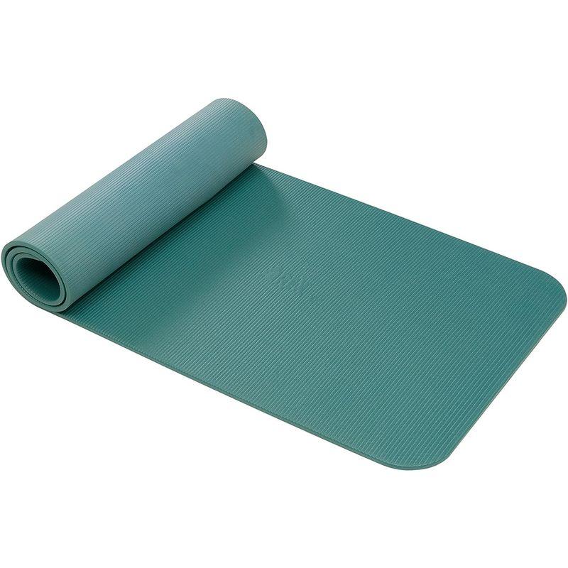 AIREX(エアレックス) トレーニングマット フィットライン180 厚さ10mm ウォーターブルー FITLINE 180 FITLINE FITLINE ウォーターブルー エアレックス トレーニングマット フィットライン180 厚さ10mm