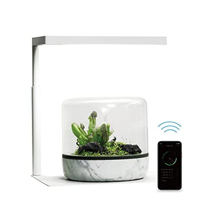 送料無料 新品 タイマー ライト Led ライト 水槽 Onf 付き C 30 Cm 25 Cm 適応サイズ 照明 植物育成ライト アクアリウム ライト ライト 照明器具