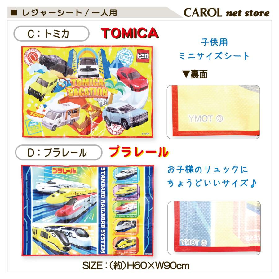 スケーター レジャーシート キャラクター トトロ パウ