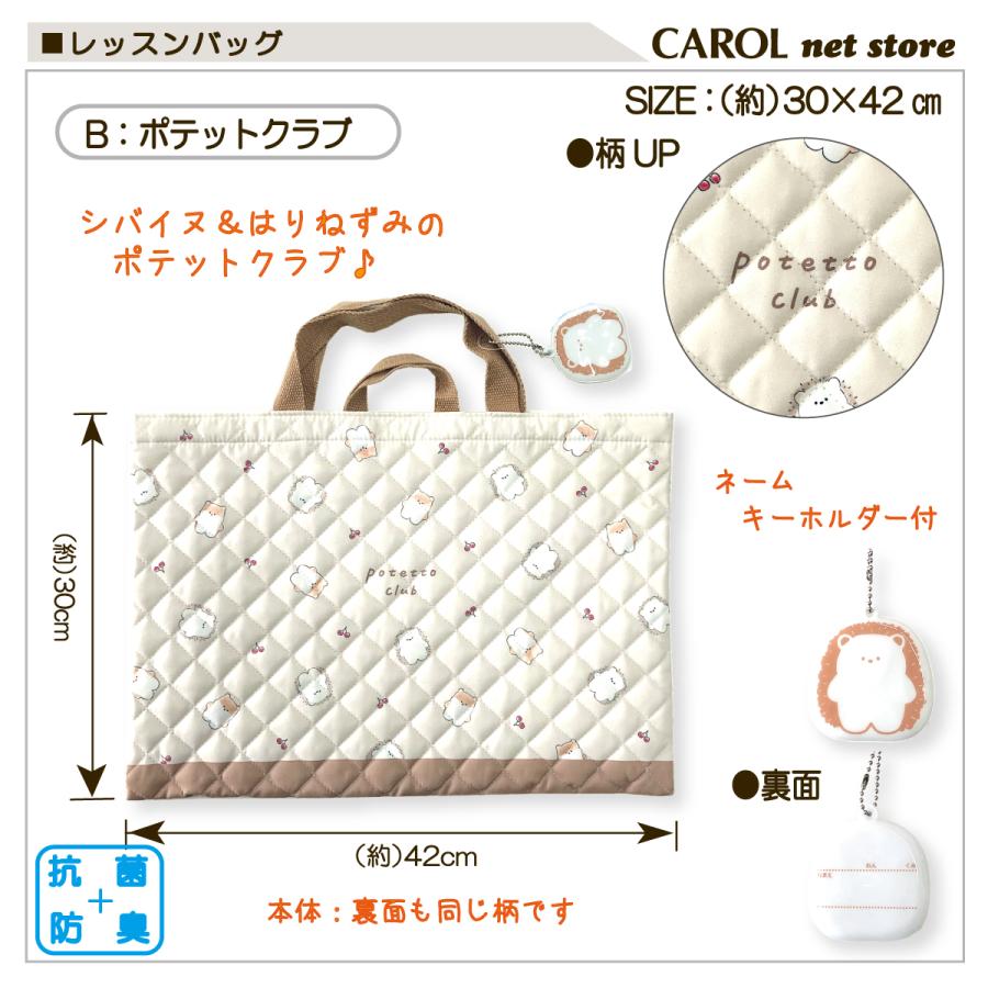 レッスンバッグ 楽天市場】防水レッスンバッグ ［desuite デスイート］／単品