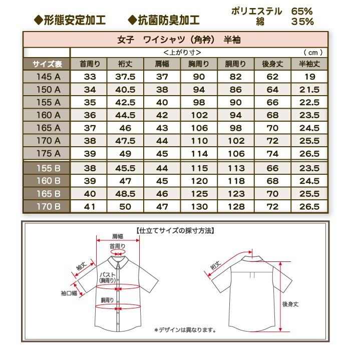 スクールワイシャツ 2枚組 女子 半袖 角衿 B体 ふくよかサイズ 抗菌防臭加工 形態安定加工 Yシャツ スクールシャツ まとめ買い 制服 学生 オフィス｜carol-netstore｜03