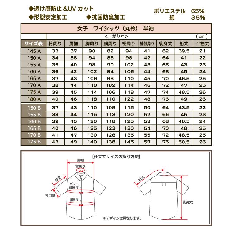 スクールワイシャツ 2枚組 女子 半袖 丸衿 A体 標準サイズ 透け感防止