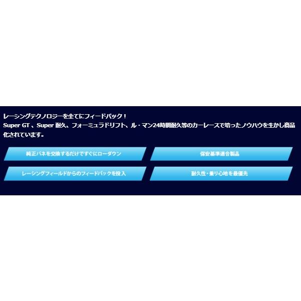 1台分 エスペリア Super DOWNSUS MITSUBISHI ミニキャブEV U69V R5/12~ 2WD_3