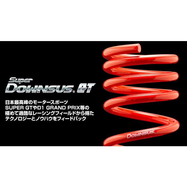 1台分 エスペリア Super DOWNSUS GT ダイハツ コペン L880K H14/6