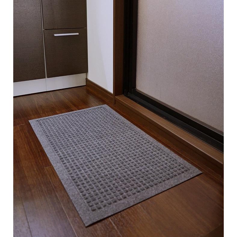 クリーンテックス・ジャパン 玄関マット ウォーターホース 62×88 cm