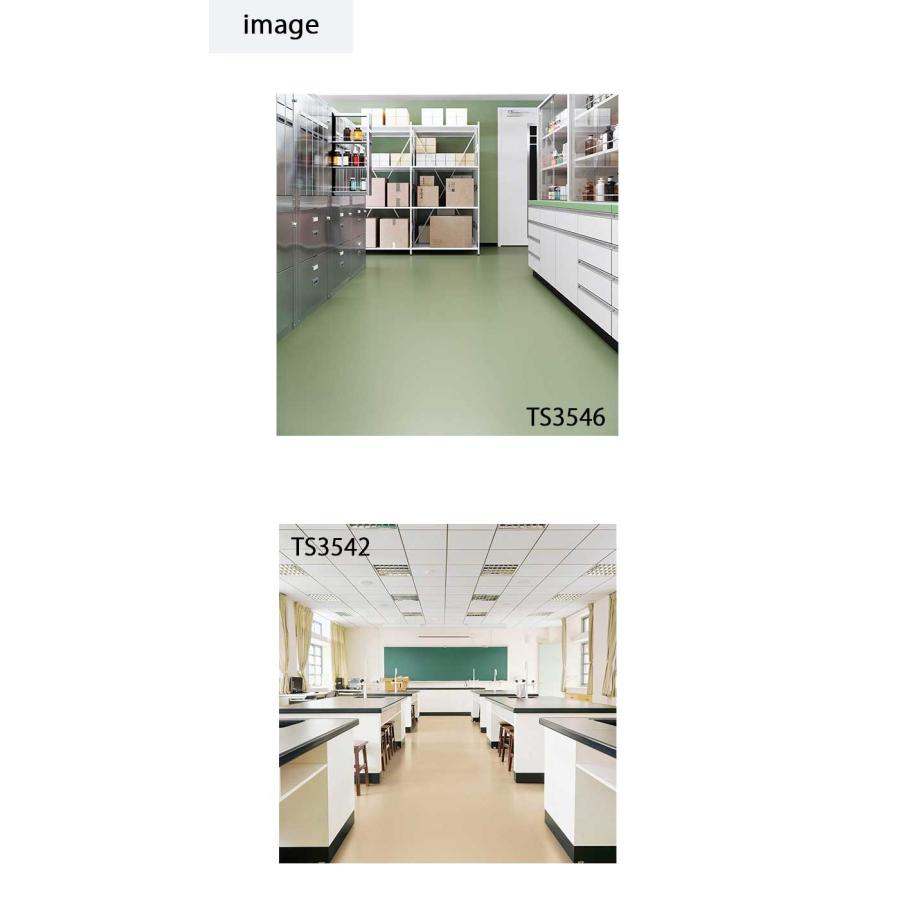 東リ（TOLI） 複層ビニル床シートFS 耐薬スーパーKシートNW（10cm単位