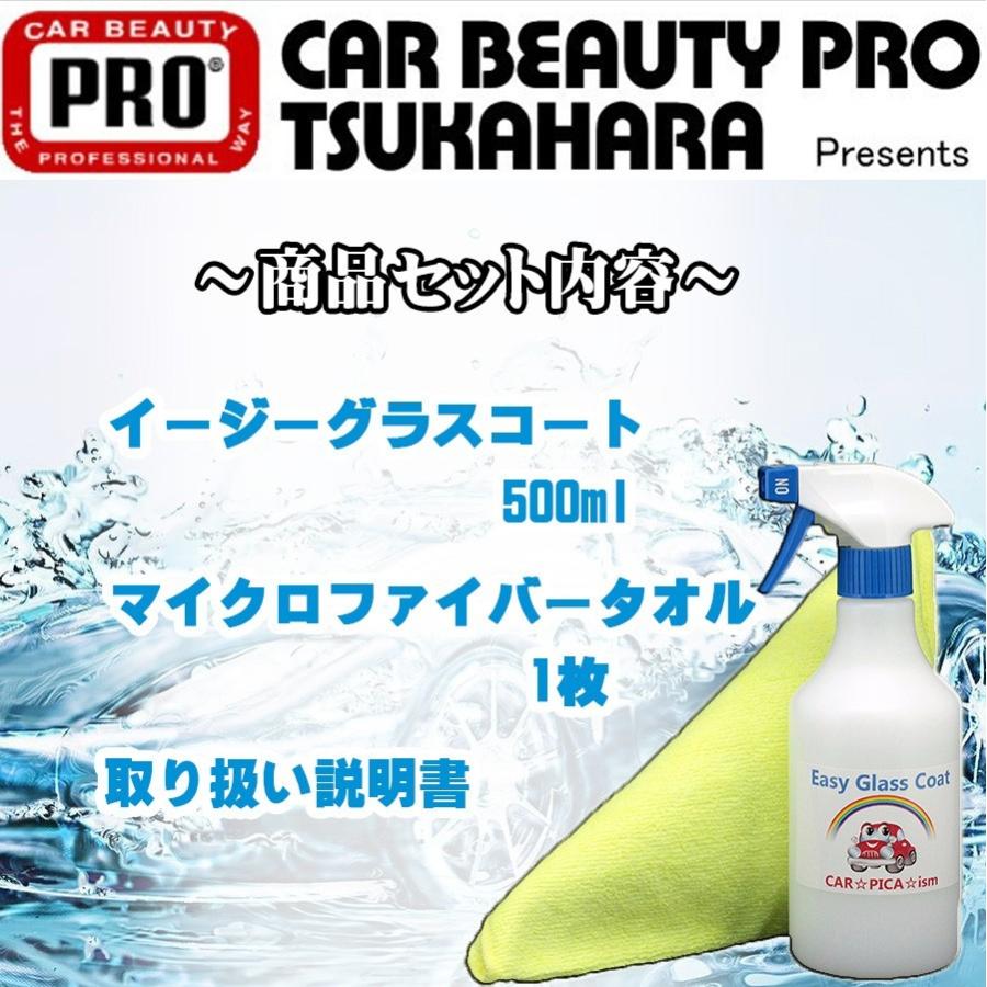 出群 イージーグラスコート 500ml 簡単 超撥水 たっぷり15回分 業務用 ガラスコーティング剤 ワックス 車 スマホ コーティング メンテナンス プロ 最強 ガラス系 Aynaelda Com