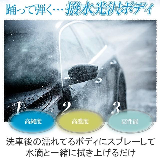 イージーグラスコート 500ml 簡単 超撥水 たっぷり15回分 業務用 ガラスコーティング剤 ワックス 車 コーティング メンテナンス プロ 最強｜carpicaism｜03