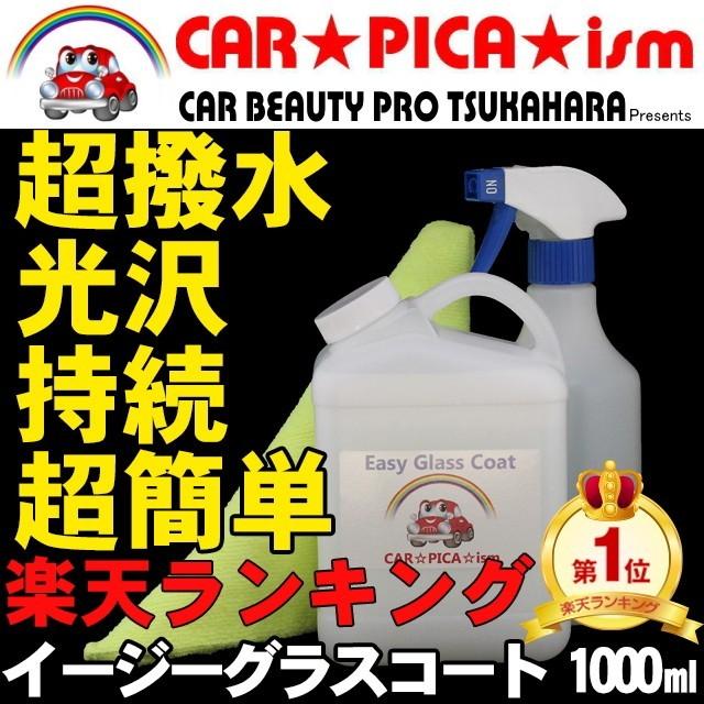 イージーグラスコート 1000ml 業務用 大容量 30回分 車 バイク 自転車 にも 撥水剤 ガラスコート剤 ロードバイク｜carpicaism