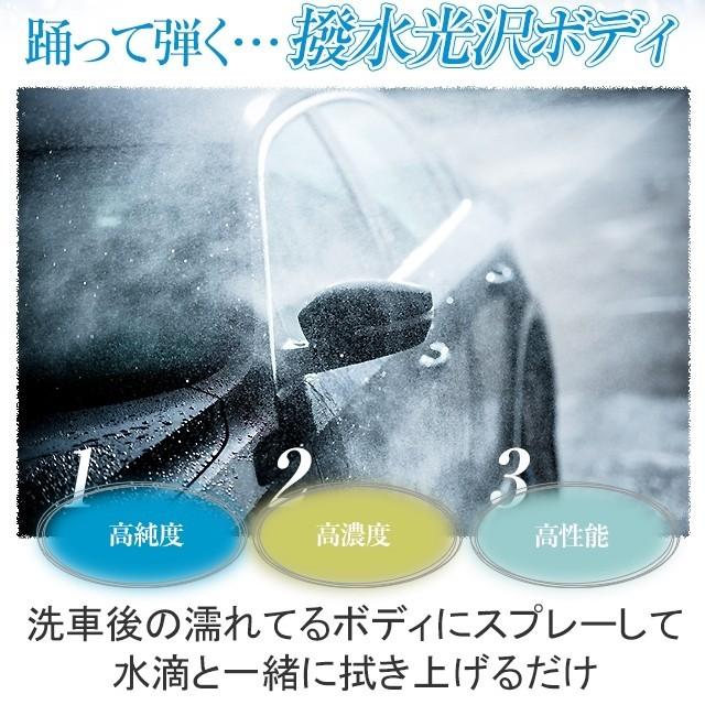 イージーグラスコート 1000ml 液剤のみ 瞬間超撥水 ガラスコーティング剤 ワックス 車 スマホ コーティング メンテナンス プロ 最強｜carpicaism｜03