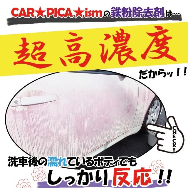 鉄粉除去剤 1000ml 液剤のみ 濃いから効く PRO用原液タイプ ブレーキ