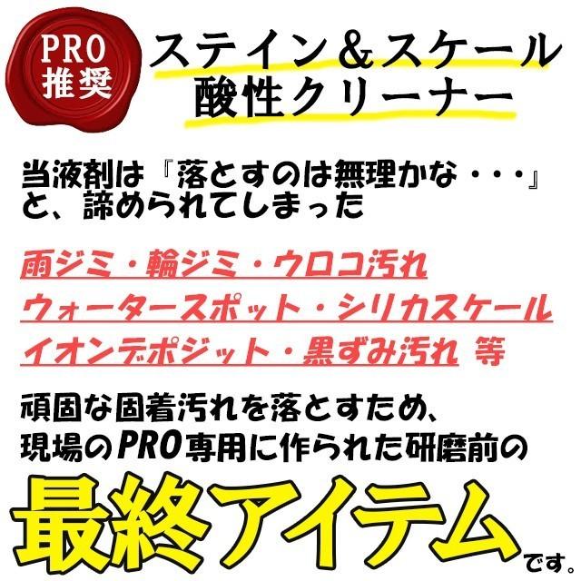 ステイン＆スケールクリーナー 200ml（酸性） ボディの ウロコ ウォータースポット シリカスケール を一発除去 超強力｜carpicaism｜03