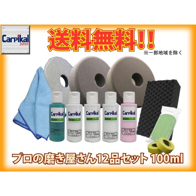 カーピカル 業務用 プロの磨き屋さん 12品セット 100ml カーピカル 業務用 プロの磨き屋さん 12品セット 100ml