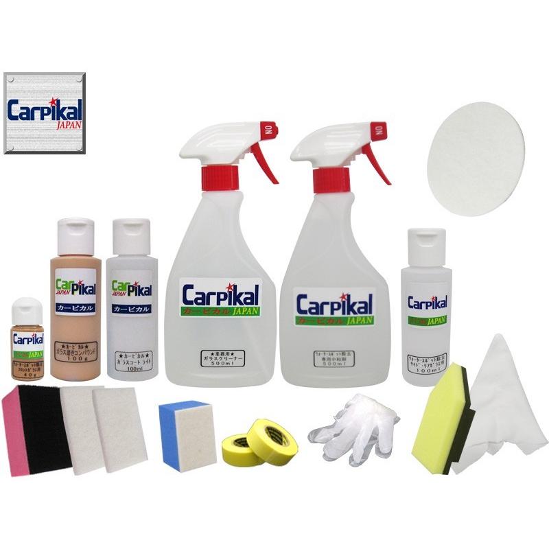 送料無料 ウインドケア ガラス傷 線傷 ワイパー傷 油膜 ウロコ しみ 洗車道具 ウインドコート 鱗 業務用ウォータースポット除去 ｐｒｏセット 送料無料 正規激安 Kuljic Com