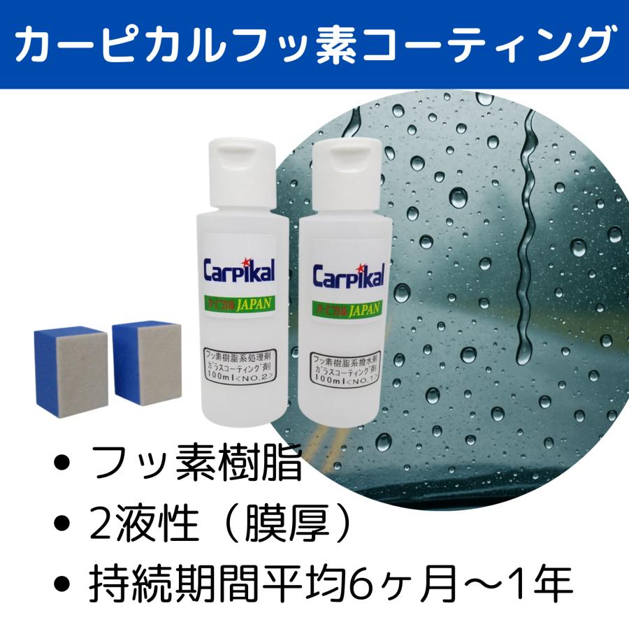 カーピカル 業務用 フッ素 ガラスコーティング剤 セット 100ml 