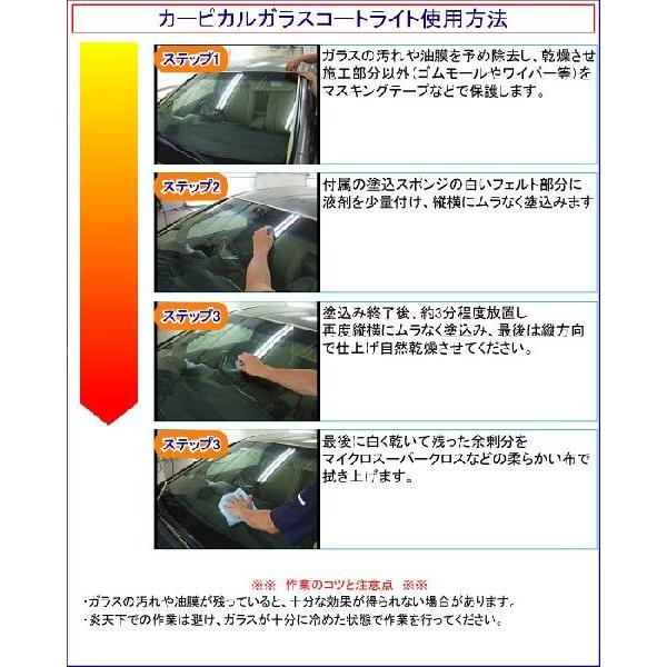 業務用 ガラスコートトライアル セット 100ml : カーピカルJAPAN NET