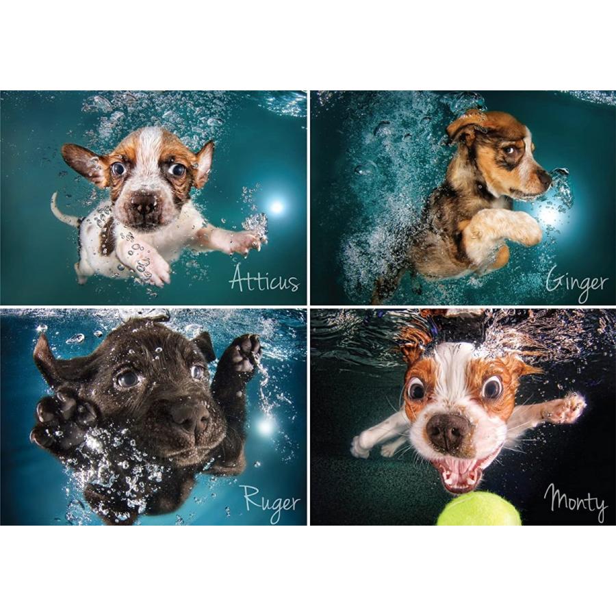 1000ピース ジグソーパズル 水中犬 4犬種 子犬 セス キャスティール 日本製